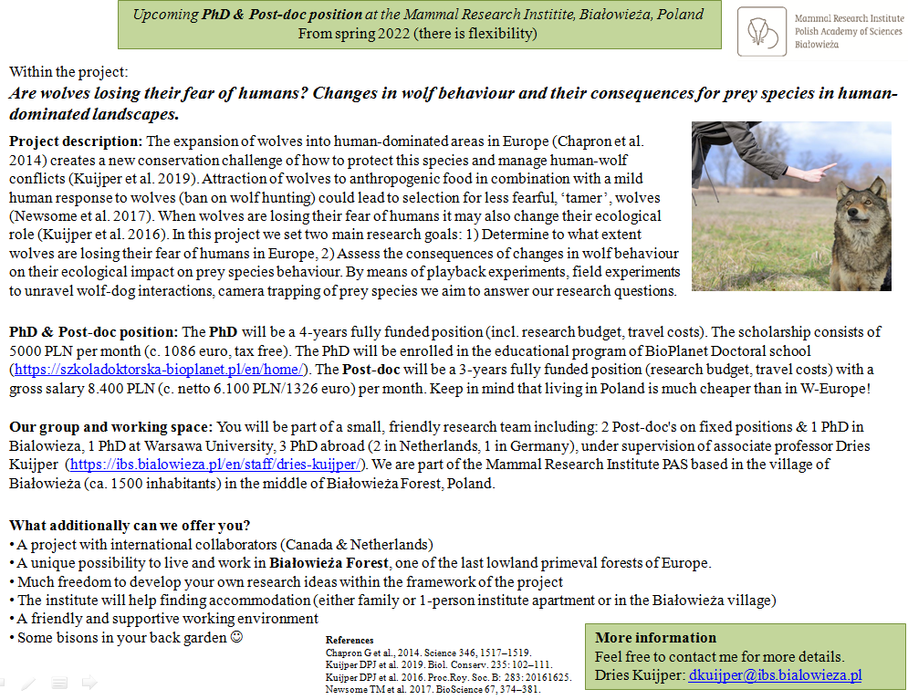 #PhD opportunity in Poland - wolf ecology