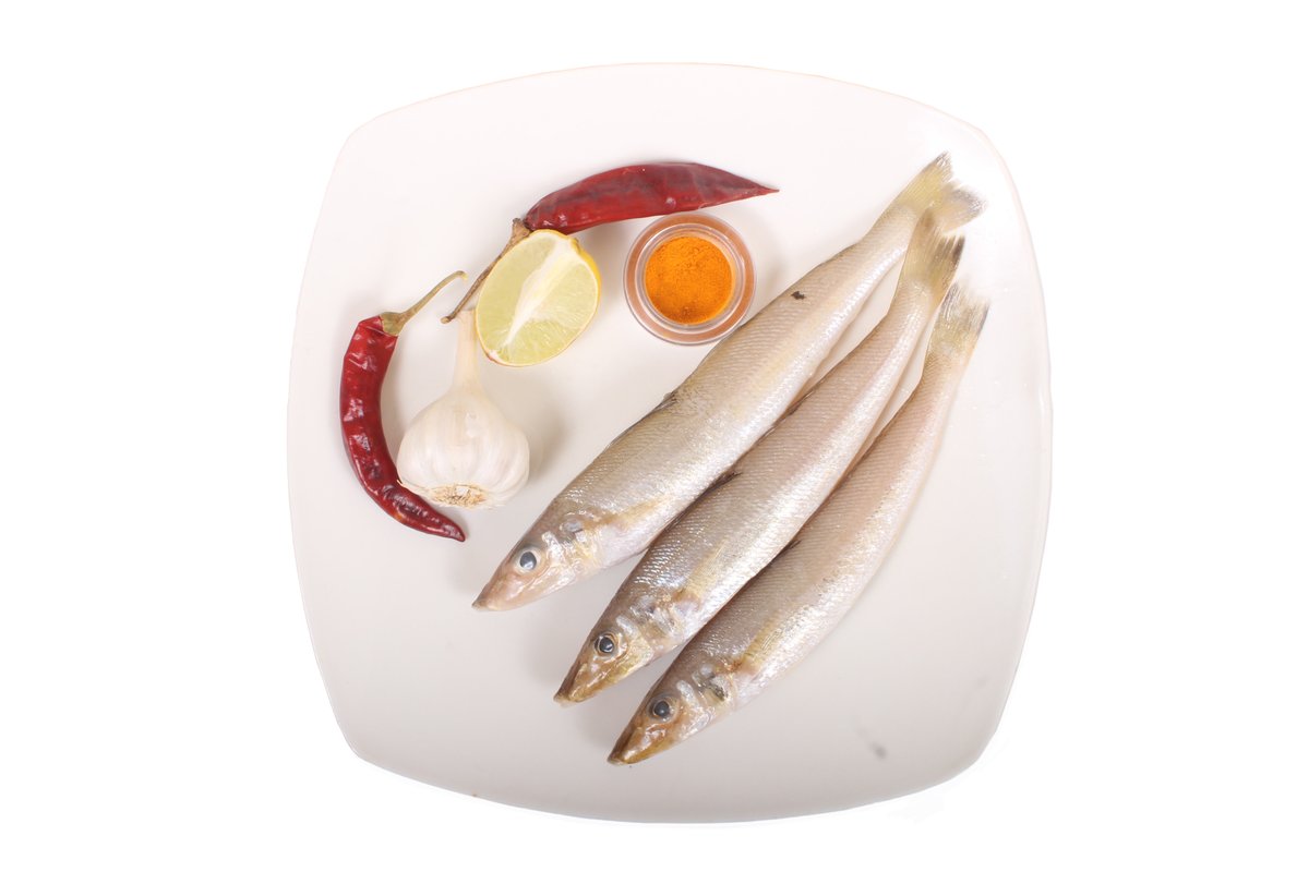 fishcutsin's tweet photo. FRESH CATCH SERVED YOUR WAY !

https://t.co/BBk3zvK88Y

Visit: 22E/14A, Ground Floor Sannathi Street, Jawaharlal Nehru Rd, Tharamani, Chennai, Tamil Nadu 600113.

#fishcuts #omnistore#seafood #restaurantsupply #bestprice #ladyfish #kizhangan #kane #homedelivery #dunzo #swiggy https://t.co/P6VcqKn7zT