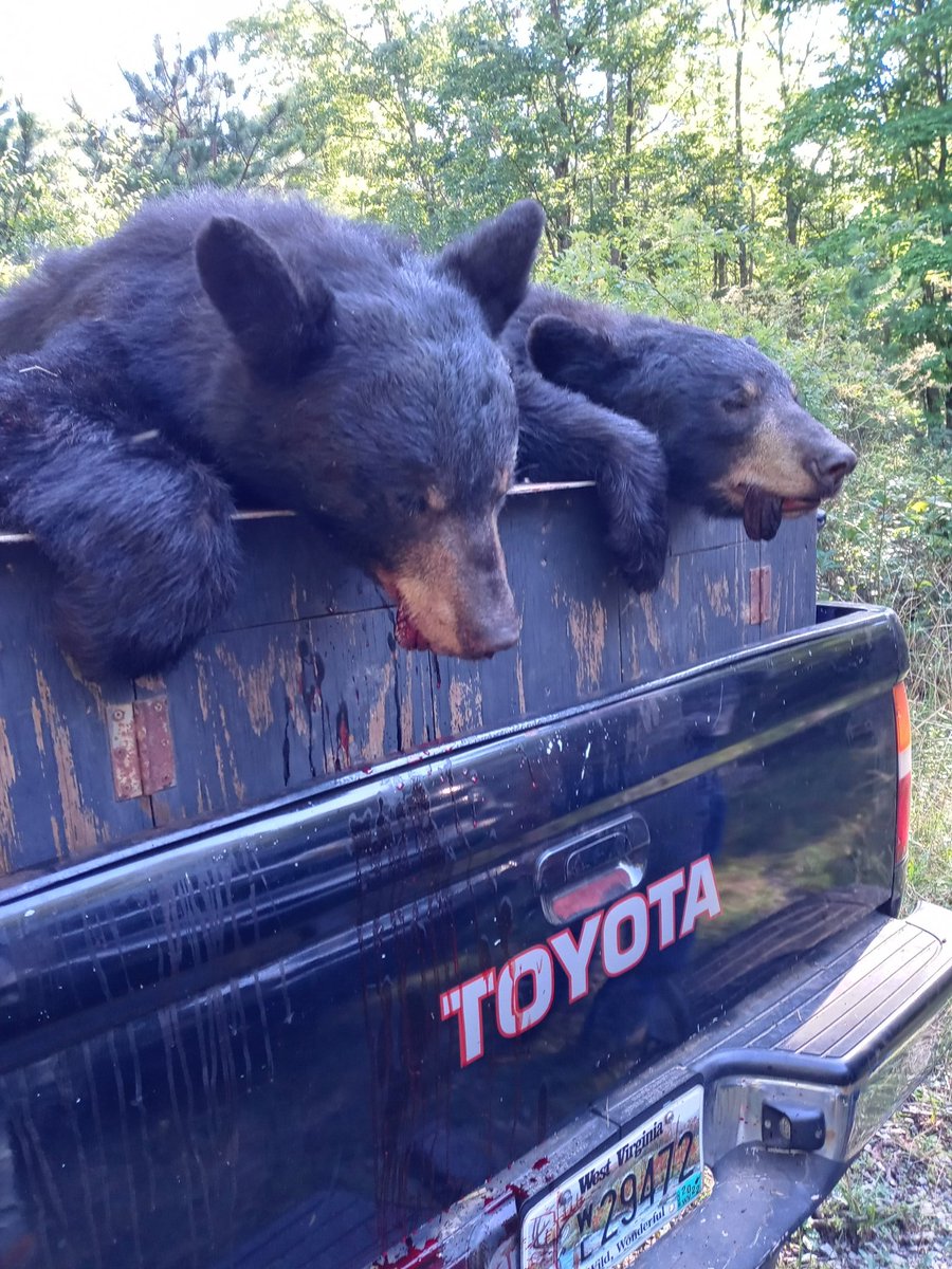 Justice Redman (@justice_redman) on Twitter photo 