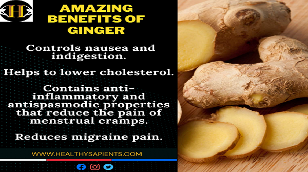 HSapients's tweet photo. Ginger is a flowering plant that originated in Southeast Asia. It's among the healthiest (and most delicious) spices on the planet.
#HealthyFood #healthy #mondaythoughts    #HealthyLife #menstrualpainrelief #migraine #cholesterol #indigestion #DidYouKnow #health  #gingers https://t.co/n6VW5Vi3xR