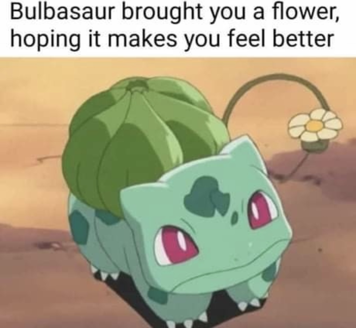 WholesomeMeme's tweet photo. https://t.co/ENqaeuWDKc