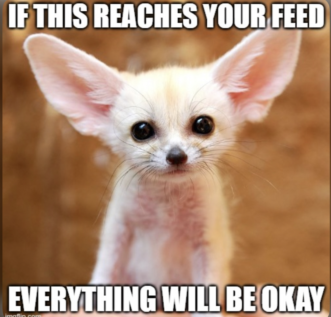 WholesomeMemes (@wholesomememe) on Twitter photo 