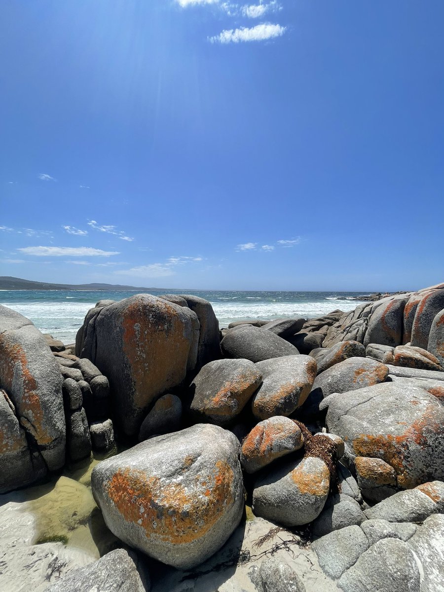 Stunning day at the beach 🏖#binalongbay #bayoffires @tasmania