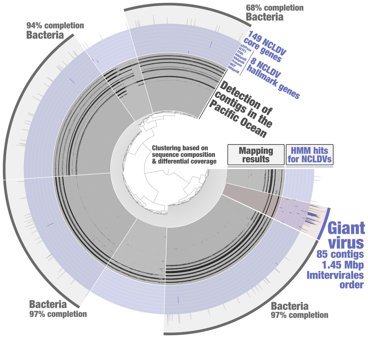 This blog post describes how population genomes for the #GiantVirus and their close relatives can be characterised from within the open-assess platform #anvio by means of genome-resolved metagenomics, guided in part by HMM models for hallmark genes merenlab.org/2022/01/03/gia…