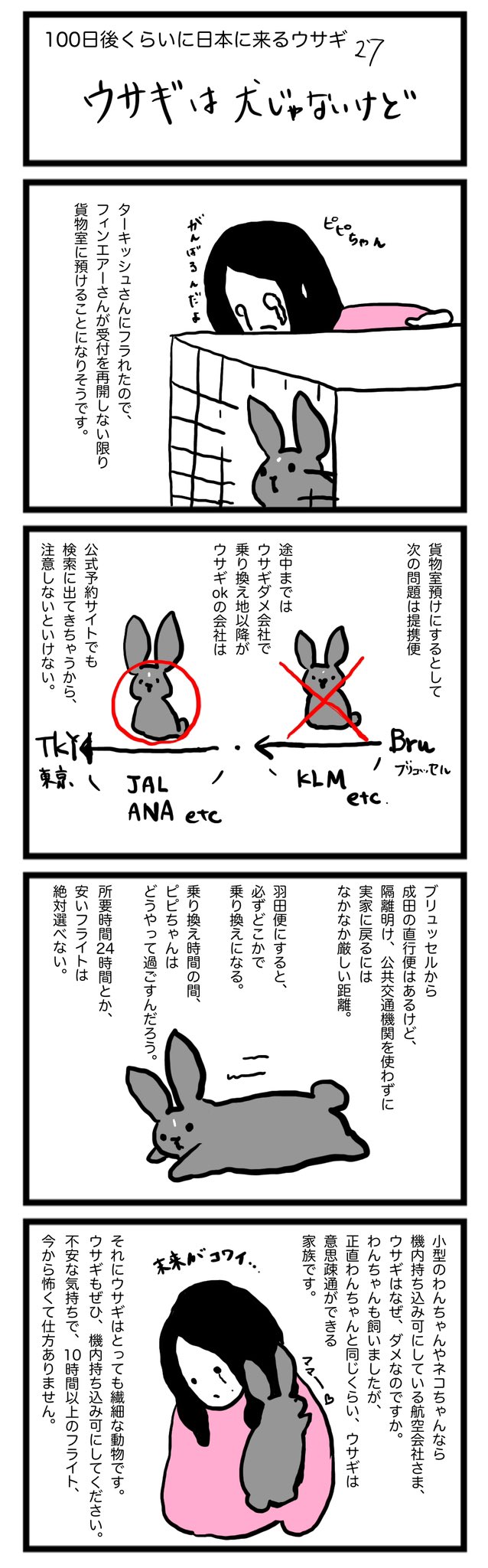 Twitter 上的 ピニョン ベルギー 日本 にきたウサギ 100日後くらいに日本に来るウサギ 27ウサギは犬じゃないけど うさぎ好きさんと繋がりたい 配偶者ビザ 在外邦人 うさぎのいる暮らし ベルギー在住 ブラックオター Ana フィンエアー Finnair