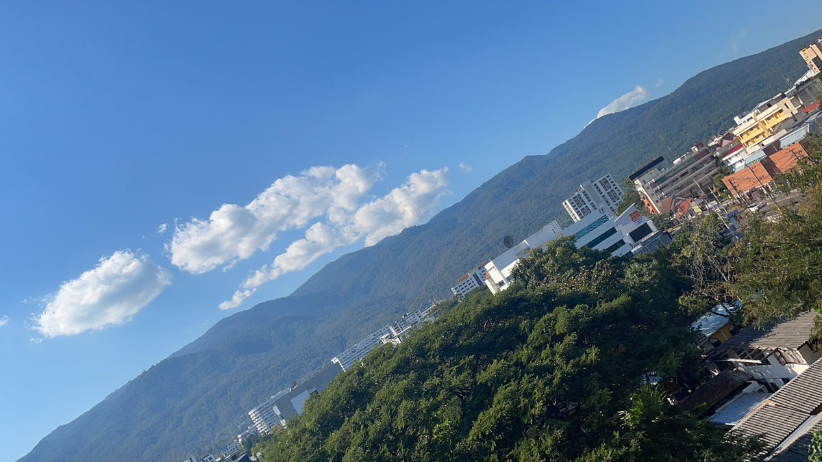 Ploy_Praphaphorn tweet media