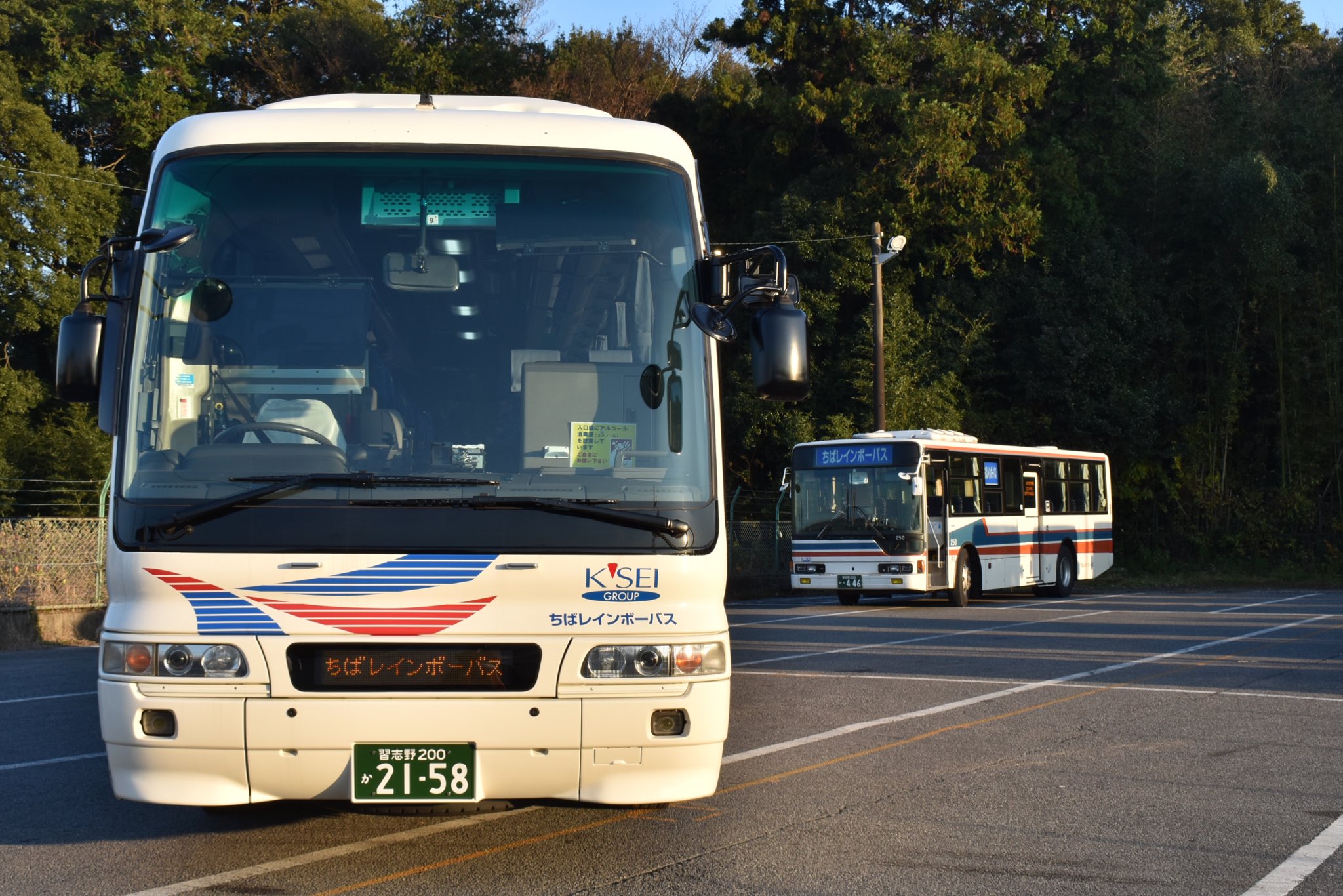 ちばレインボーバス【公式】 (@C_Rainbowbus) / X