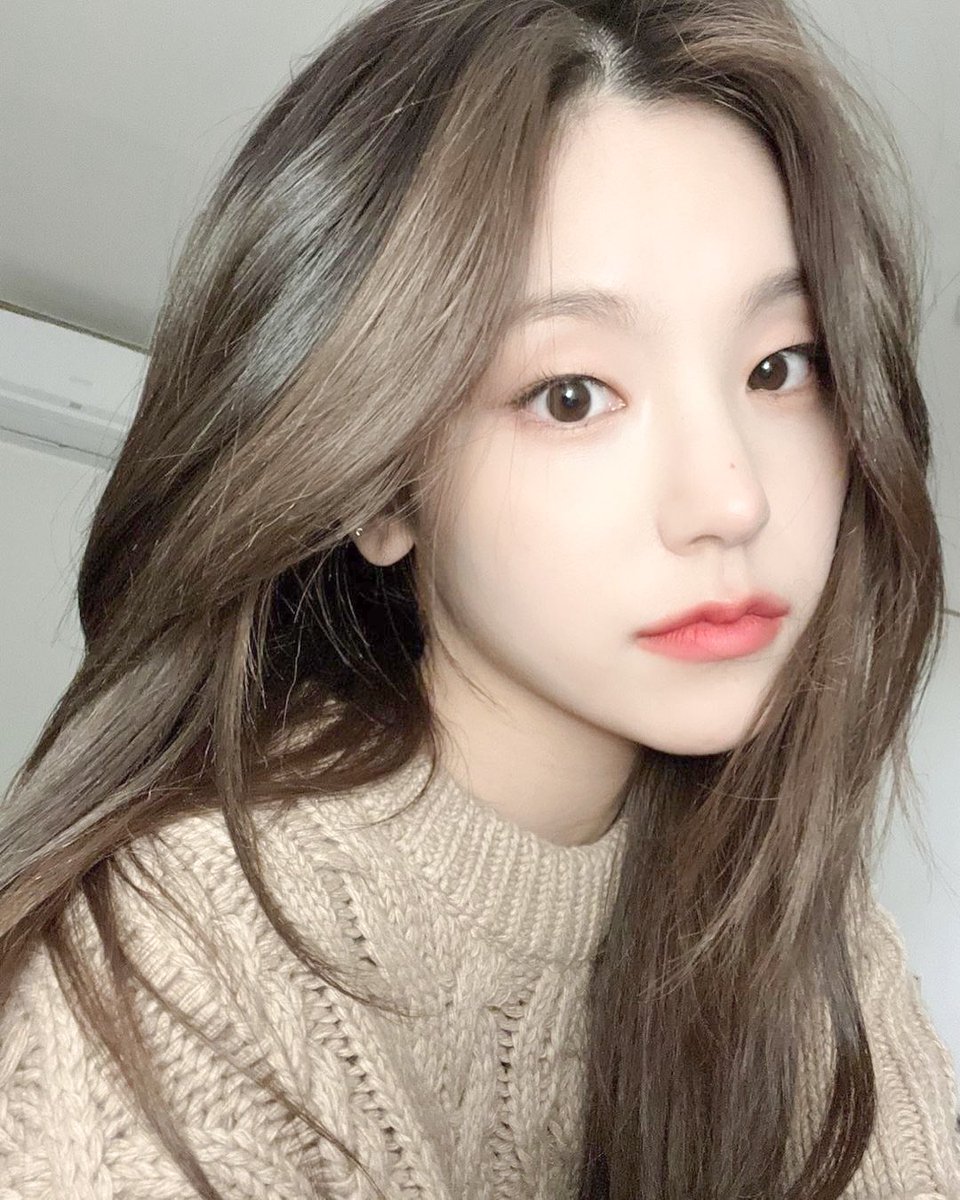 와 예지 대박 고양이상