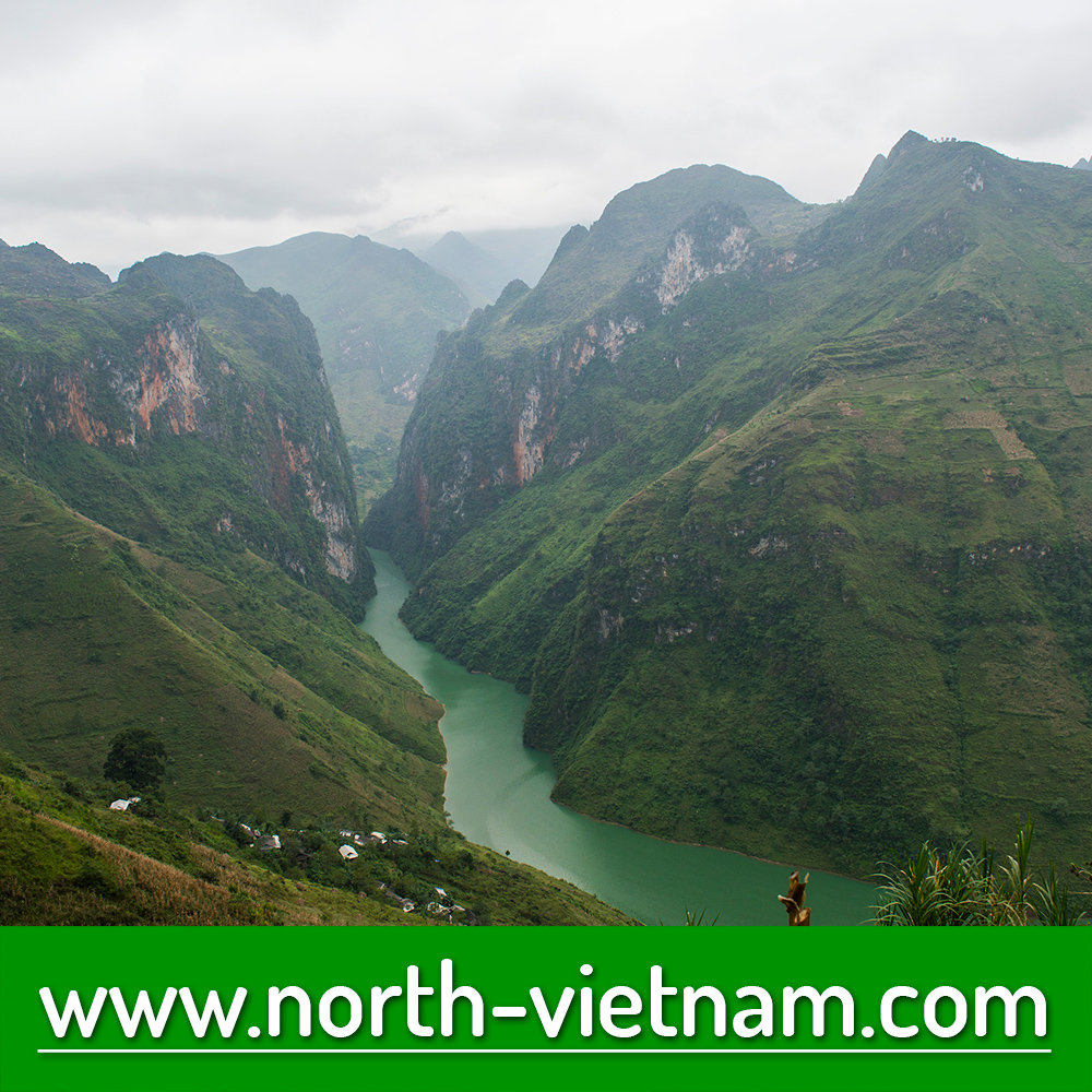north_vietnam's tweet image. ➡️ Ma Pi Leng Pass and Nho Que river in Ha Giang province. #vietnam #mapilengpass #hagiang #wanderlust #Travel 
➡️ More information: north-vietnam.com/ma-pi-leng-mou…