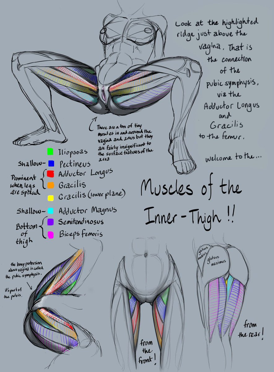 Amazing anatomy reference for any #NSFW artist #drawing #nsfwgaming #lewdga...