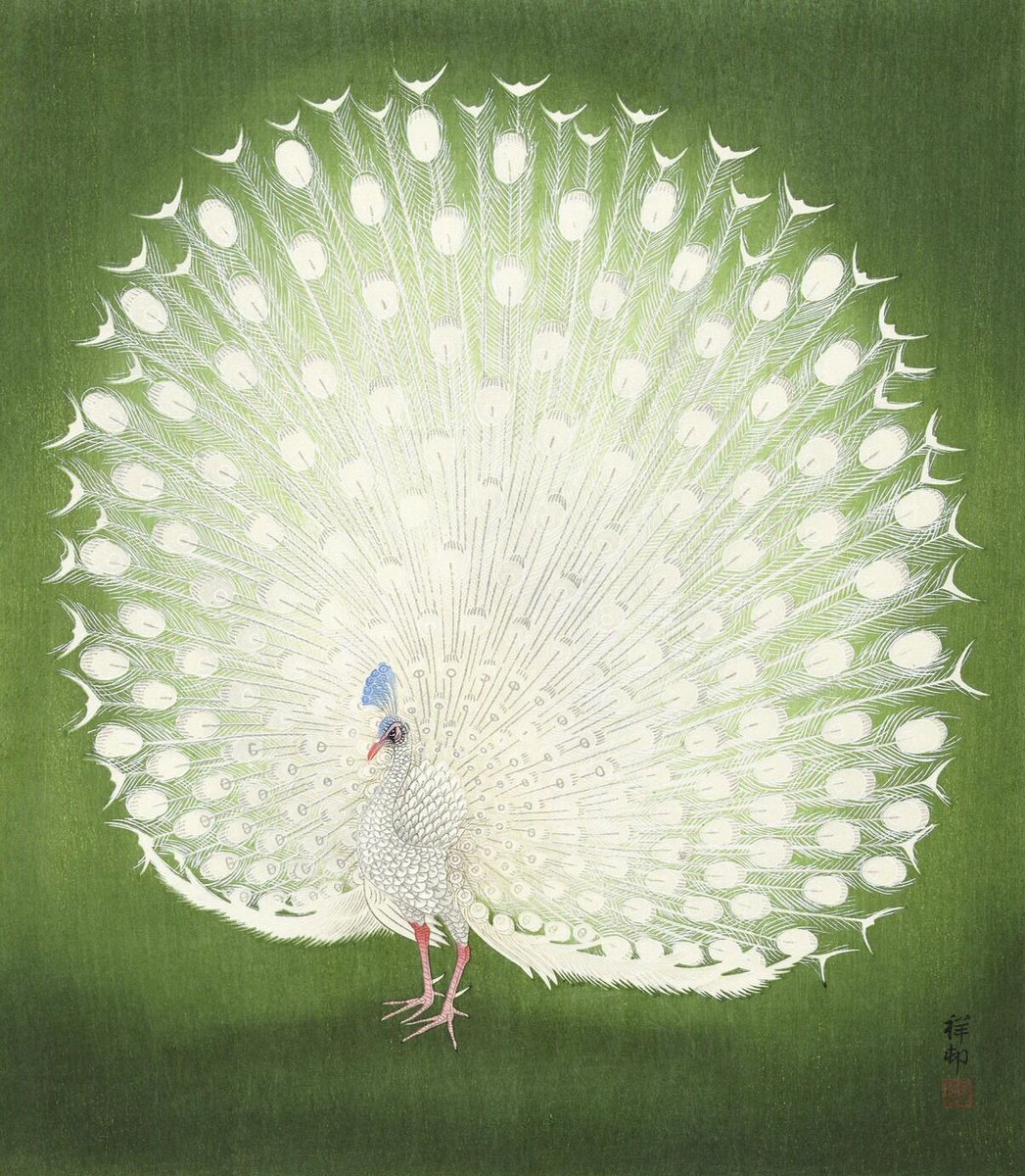 RT @HenryRothwell: 'Peacock', Ohara Koson, color woodcut, 1925 - 1936. https://t.co/Xv9ZLnyY9v