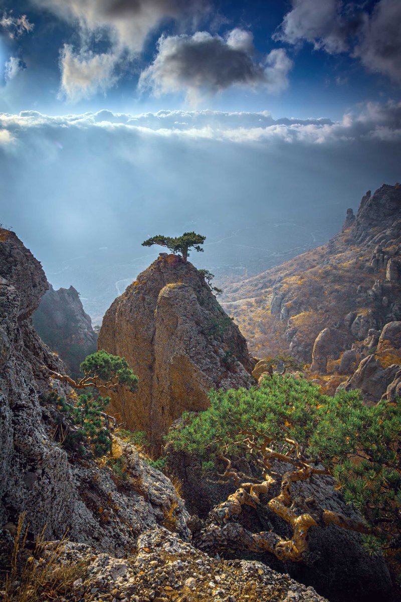 Photographer (@photo5065) on Twitter photo 