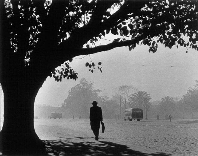 "A veces cargamos las cosas con una importancia que sólo existe en nuestra cabeza".
Rafael Chirbes
📷Germán Lorca