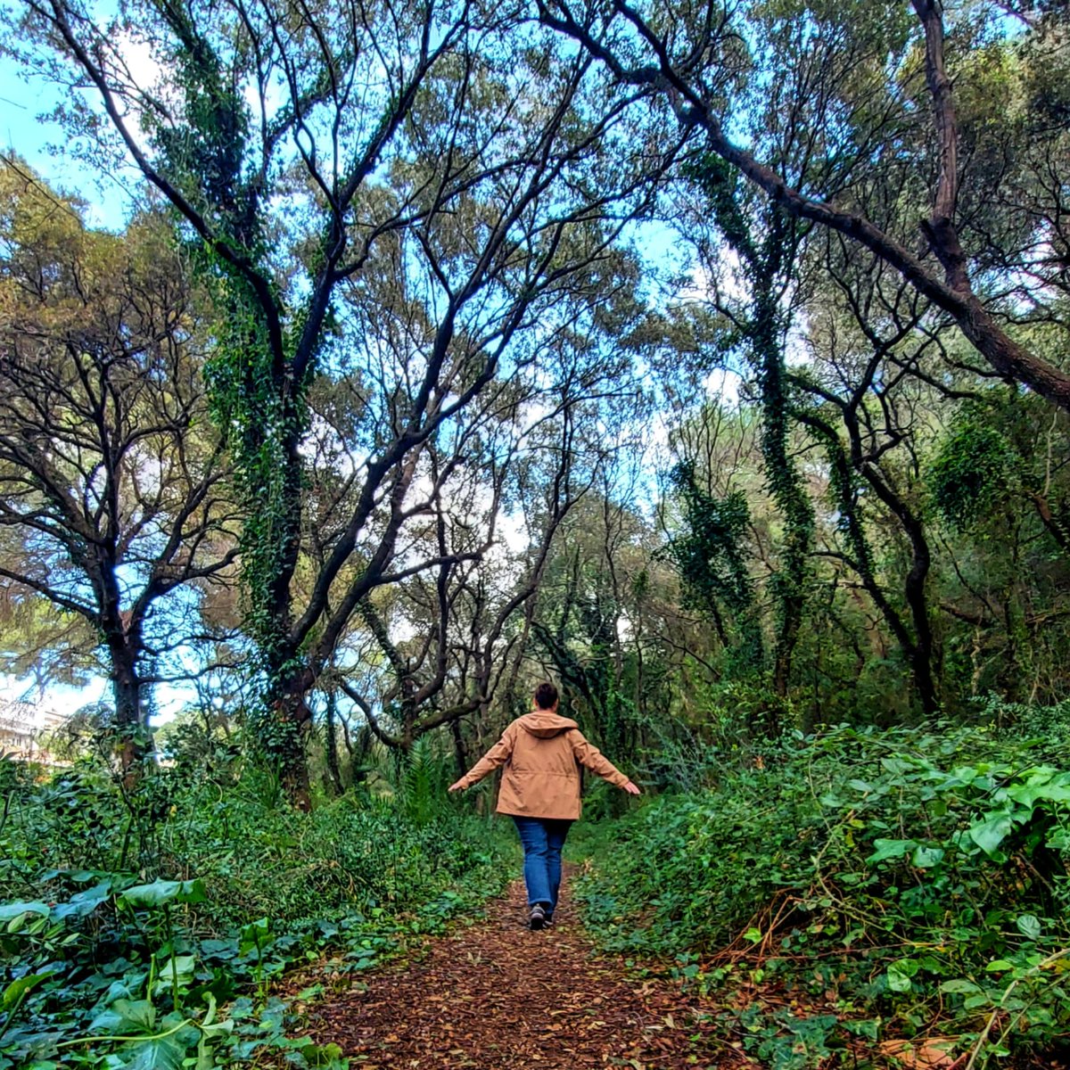 balearic2view_360 tweet media