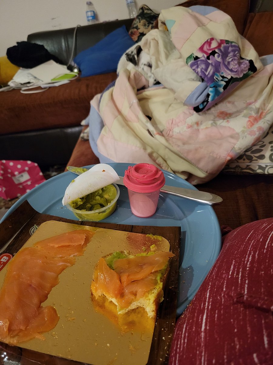 pixiepupkit's tweet photo. @madevi Here is my dog thinking my salmon and avocado were for her. Don't be fooled by the closed eyes in the second picture, it was a blink. https://t.co/4P4RWpsHTk