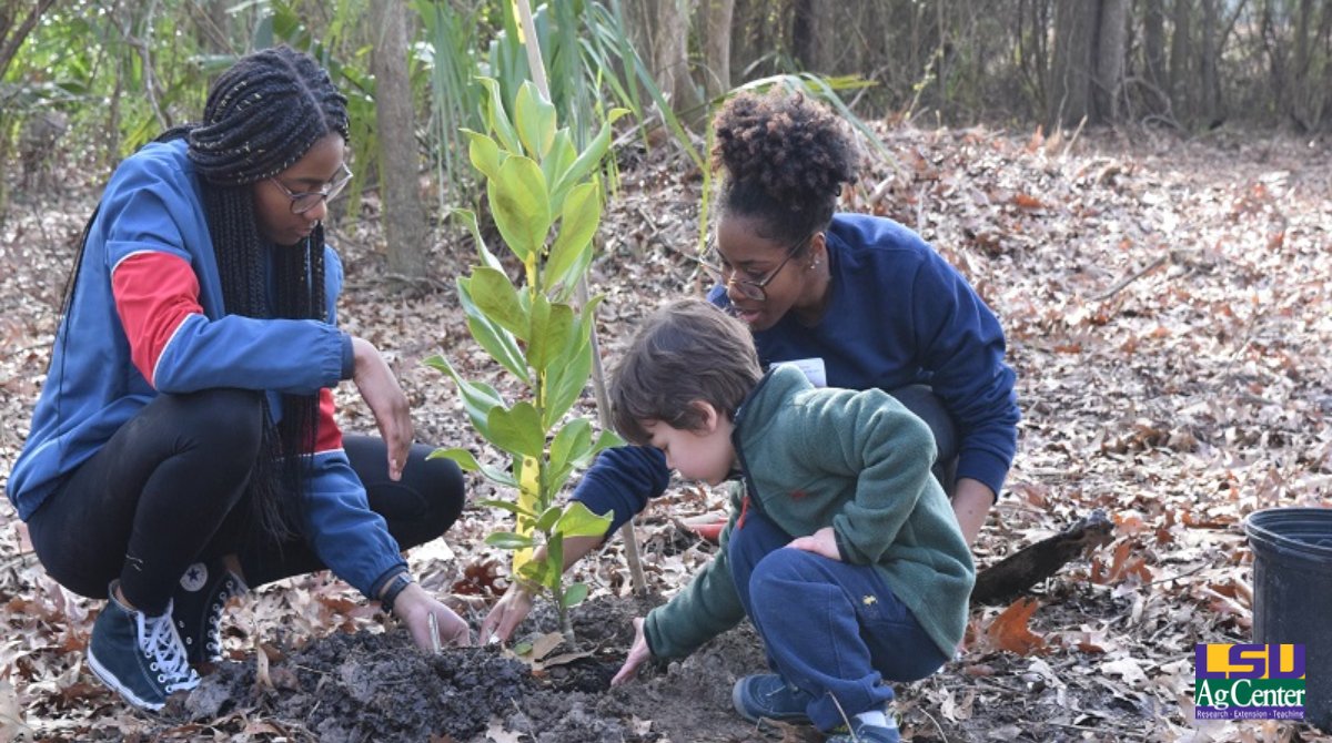 LSU AgCenter tweet media