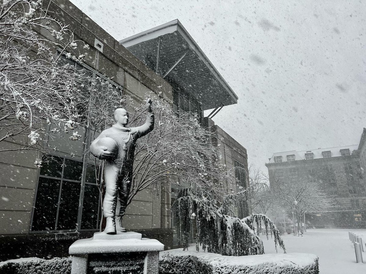 Navy Volleyball tweet media