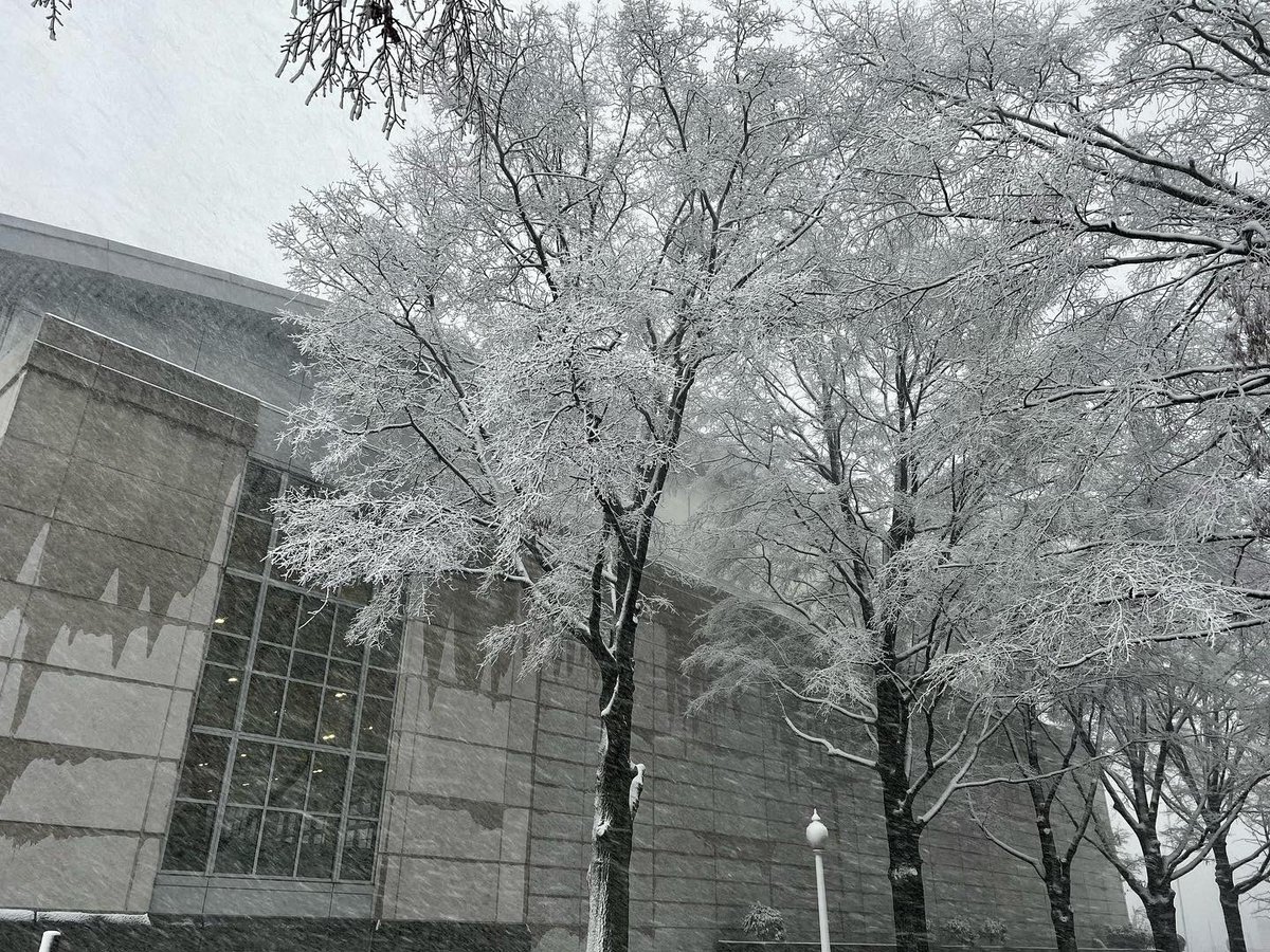 Navy Volleyball tweet media