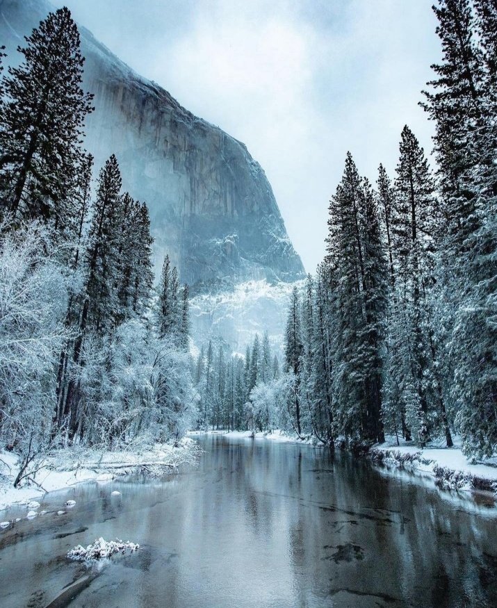 arkanl_neriman's tweet photo. Yosemite National Park..
#NaturePhotography .. https://t.co/I5ZdwAWRmK