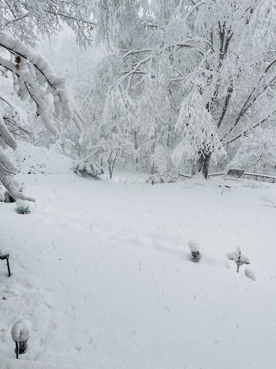 Stafford, VA #Fox5SnowDay