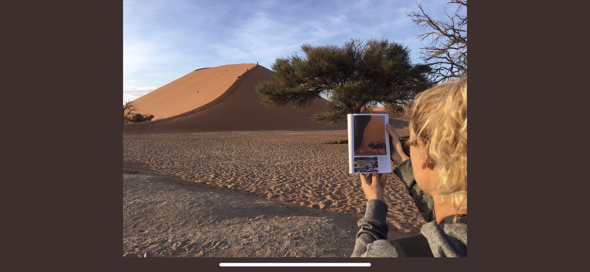 adcock_tom's tweet photo. #lpinthewild https://t.co/bH641yBkOS