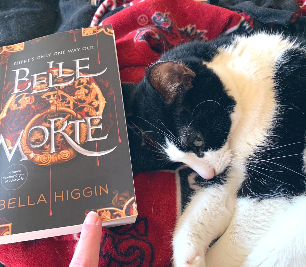 ohmywurd's tweet photo. Spending my final morning of holiday break with a vampire ARC and cat snuggles. https://t.co/pMuAZiKdc2