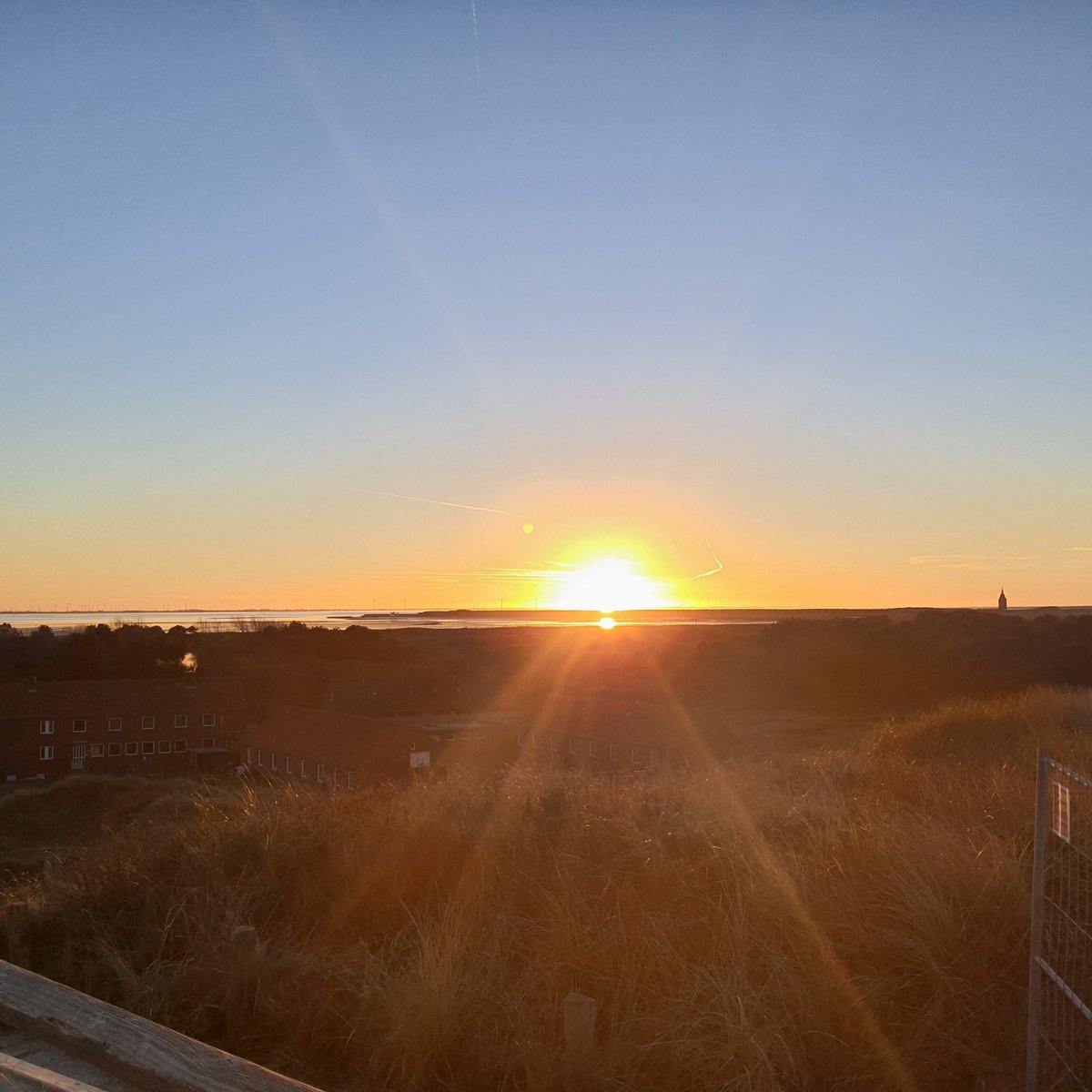 hamath's tweet image. #NewProfilePic