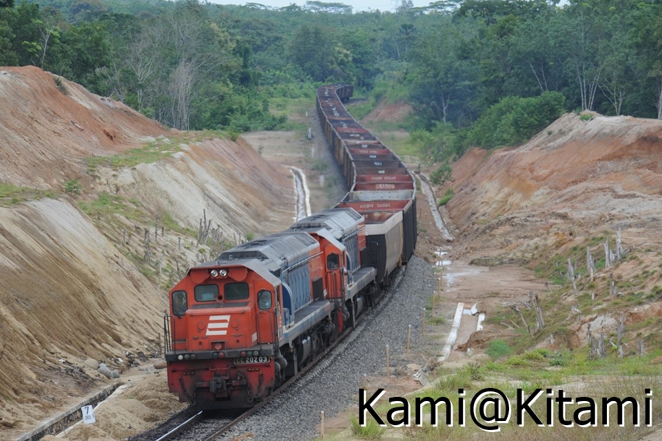 Kami@Kitami tweet media