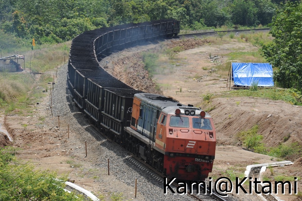 Kami@Kitami tweet media