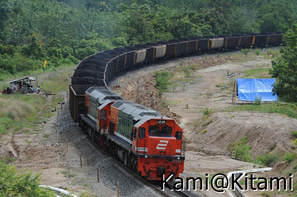 Kami@Kitami tweet media