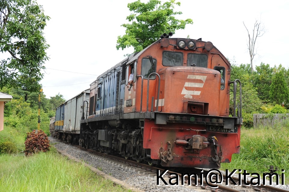 Kami@Kitami tweet media