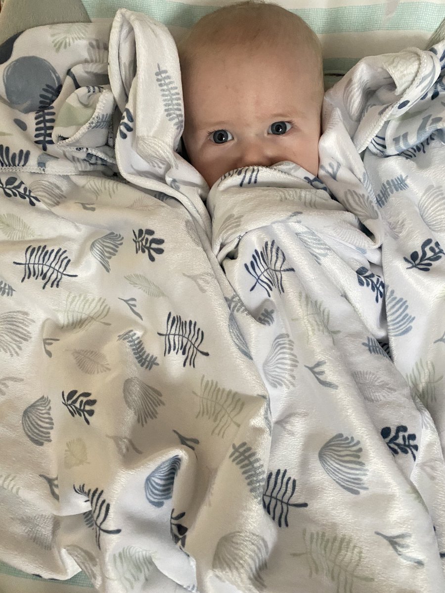 BaileyBrown6's tweet photo. I literally absolutely love being a mom to my sweet little boy, god definitely knew that I needed him in my life 🥺 https://t.co/qorXaYipD7