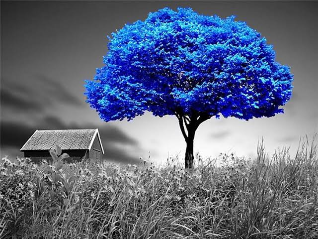 Jyoti97478354's tweet photo. own my sky....dear love !
#magicalblue #jyotichand https://t.co/N1XCAtlL2T