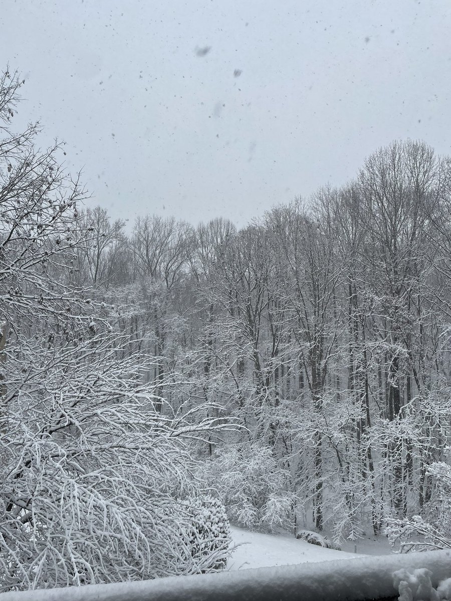 iAmanda's tweet photo. Reston, VA #Fox5SnowDay https://t.co/GafmtcEqSA