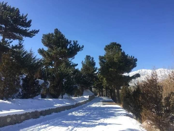 VisitAFG's tweet photo. Second Snow of the year in beautiful &amp; amazing Afghanistan ❄️ https://t.co/6lBOXCQGea