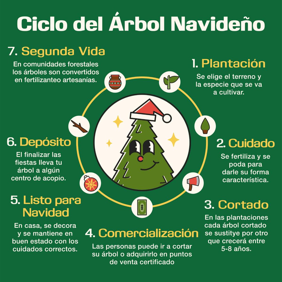 ReforestamosMx's tweet photo. ¿Conoces el ciclo de tu #árbol de #Navidad? 🤔 

Te compartimos sus diferentes etapas, desde la plantación, hasta su segunda vida. Entre sus beneficios ecosistémicos se encuentran la mitigación de los efectos del cambio climático y la restauración del suelo. 🪵🌲 https://t.co/ltQpeIviEr