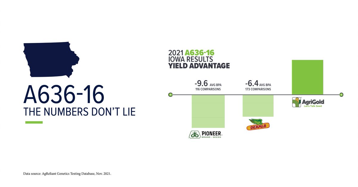 agold_steve's tweet photo. Need a special hybrid to hit those new year goals? Make the bold choice and let A636-16 go to work for you. 
✅Dependable, Proven IA Performance
✅Industry Leading Disease Tolerance
✅Lightning Emergence &amp; Vigor
✅Broad Soil Adaptability
#LetsTalkSeed https://t.co/7DY9WfpIOS
