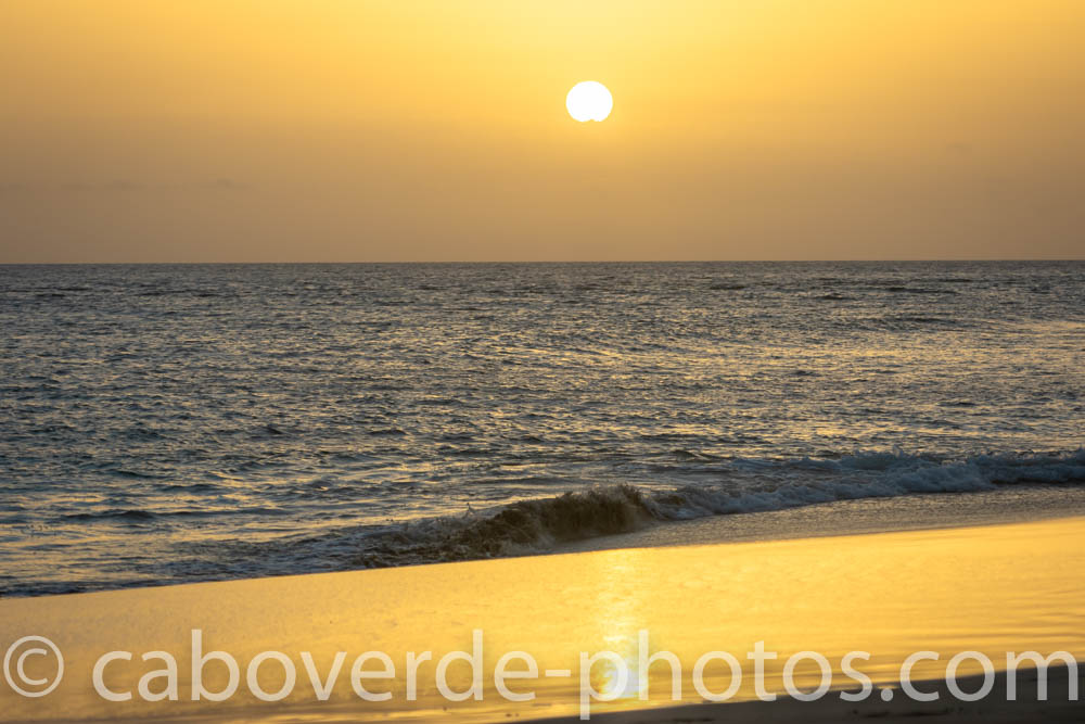 CapeVerdePhotos's tweet photo. Watching the beautiful sunsets in Cape Verde

#sunset #photography #travel #photographer #travelphotography #sunsetlover #photoshoot #beachlife https://t.co/qYGvB7Nw2P