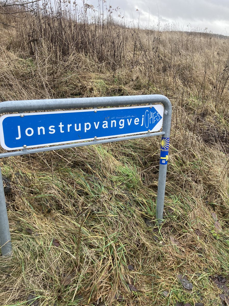 PaddyBBear's tweet photo. Did not expect to find more of the #caminodesantiago here today! #paddystravels https://t.co/aPKLYMIo9I
