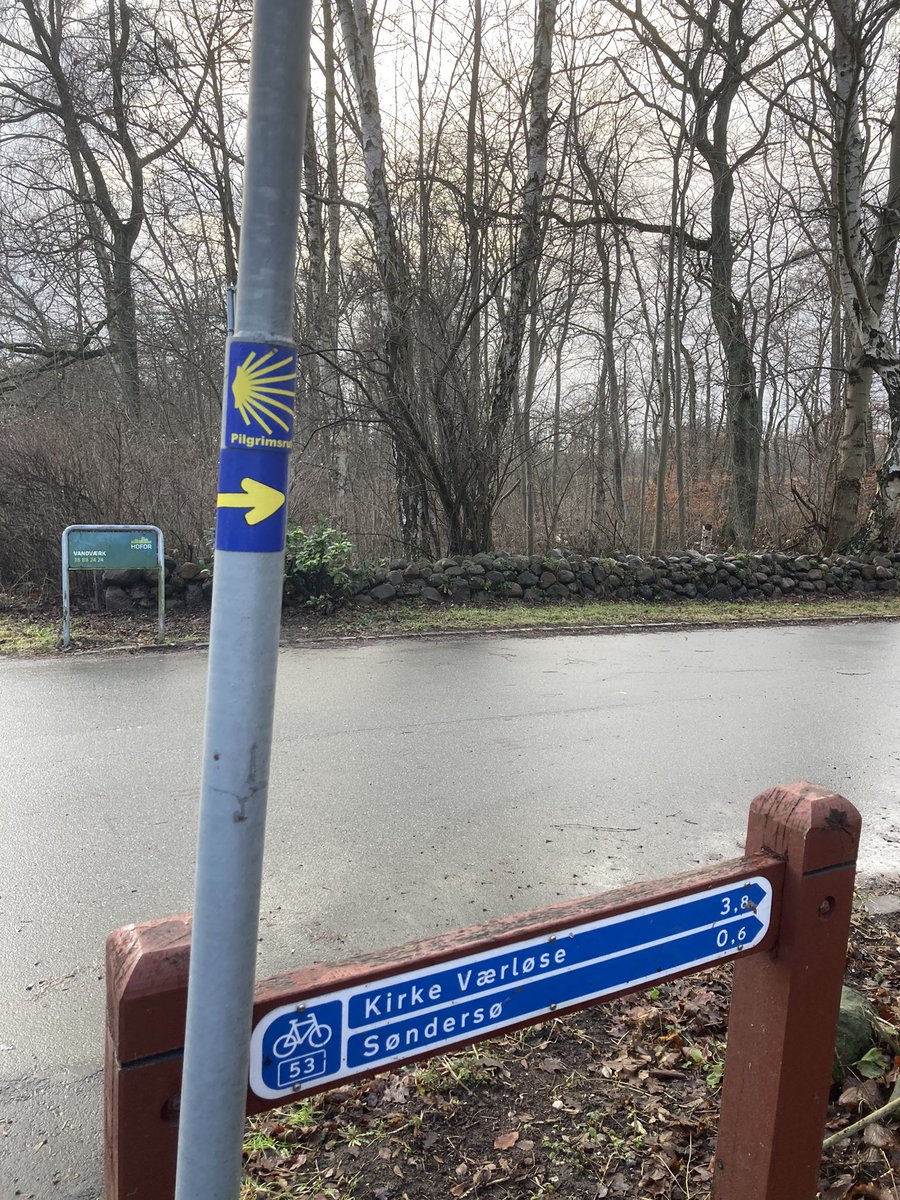 PaddyBBear's tweet photo. Did not expect to find more of the #caminodesantiago here today! #paddystravels https://t.co/aPKLYMIo9I