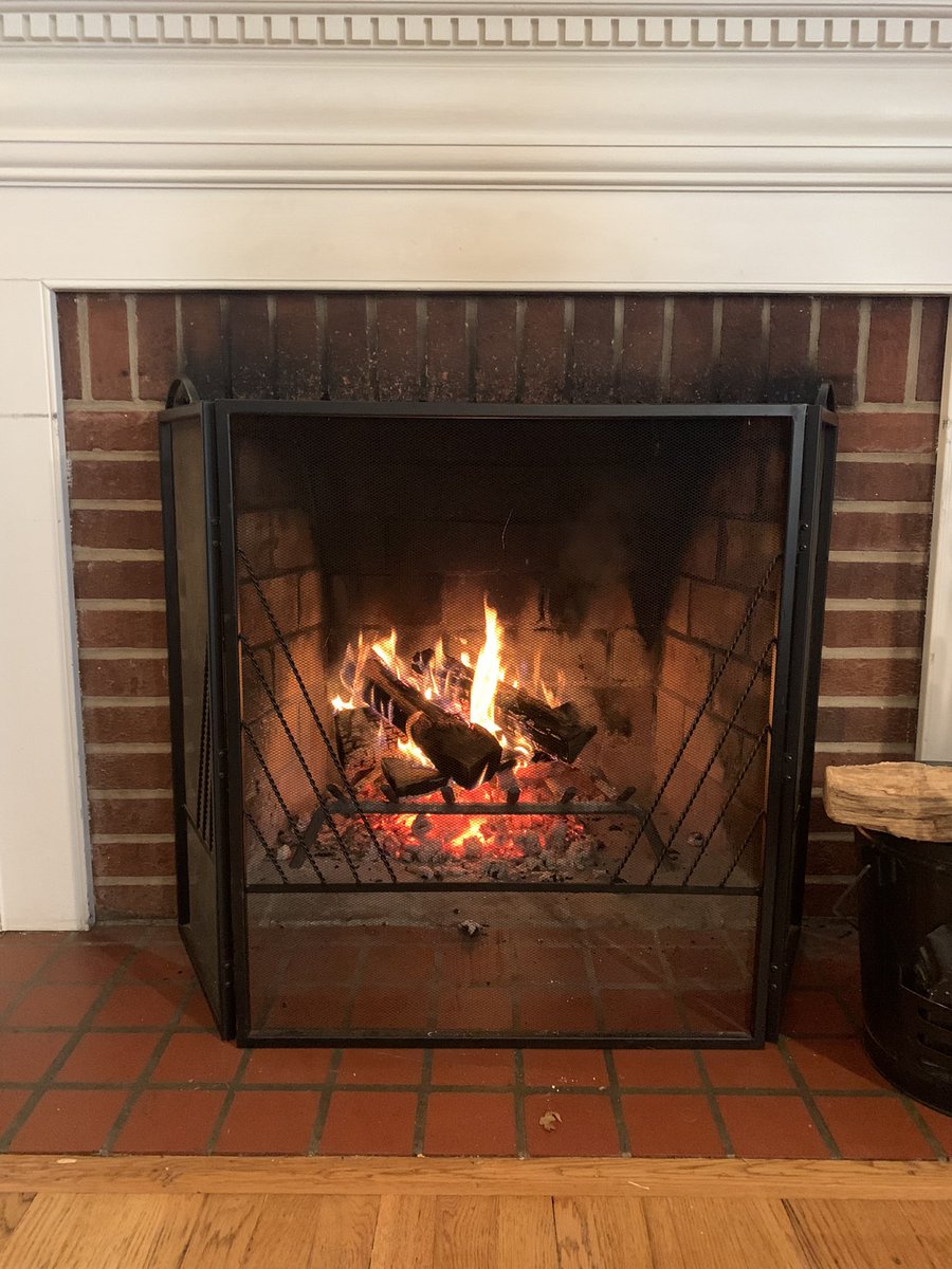 SonyaFinley's tweet photo. Teleworking situation today https://t.co/gqegFdFbBg