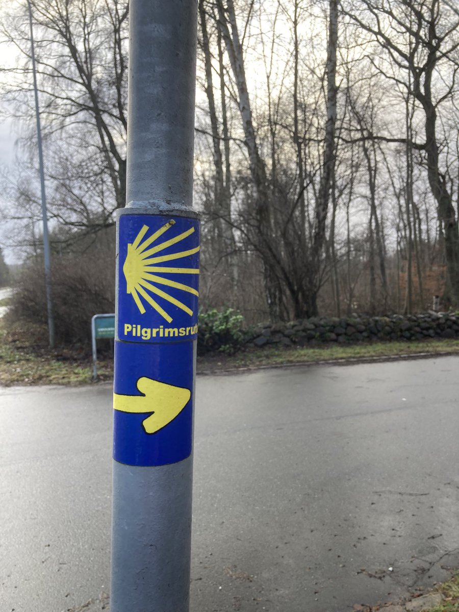 PaddyBBear's tweet photo. Did not expect to find more of the #caminodesantiago here today! #paddystravels https://t.co/aPKLYMIo9I