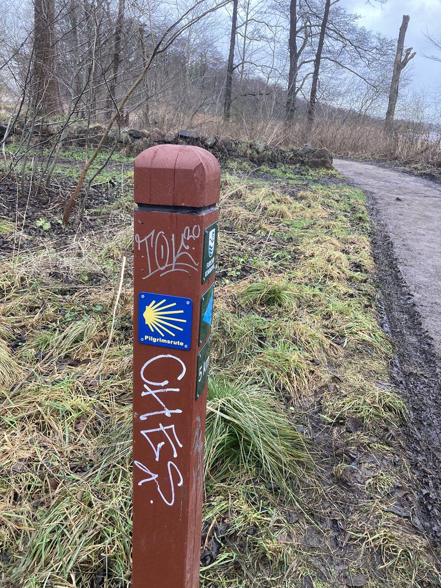 PaddyBBear's tweet photo. Did not expect to find more of the #caminodesantiago here today! #paddystravels https://t.co/aPKLYMIo9I