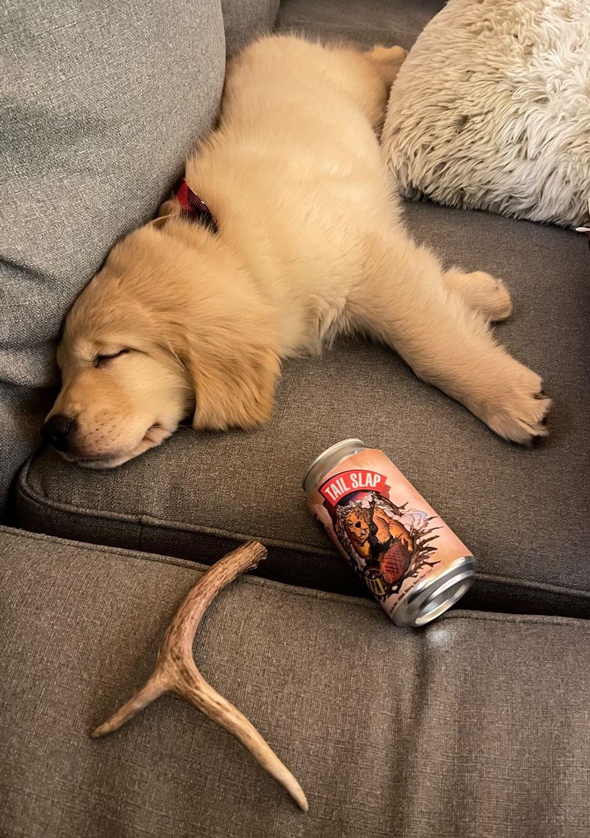 WhiskeyRiff's tweet photo. Recovering.

@riffoutdoors https://t.co/0MJYSSmaim