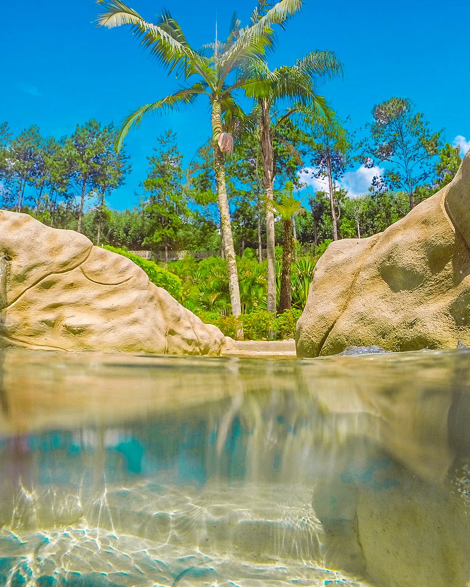 magiccitybr's tweet photo. O paraíso tem nome e é Magic City💙! A junção de descanso e diversão acontece aqui! E quem se hospeda em nossas pousadas aproveita tudo isso  por muito + tempo😜, como relaxar em nossos ofurôs da Área Vip! Não vai perder uma oportunidade dessas, né🤨?👉 https://t.co/znJJY313YQ https://t.co/A7LMZlDllW