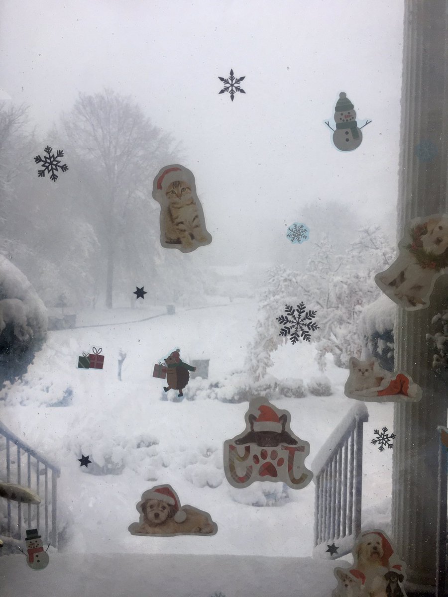 CurtisSChin's tweet photo. โ๏ธโ๏ธ๐จ Good morning, #DMV*! Itโs looking like a #snowday. ๐#firstMondayof2022.
*District of Colombia, Maryland & Virginia. https://t.co/FENz0JPWpl