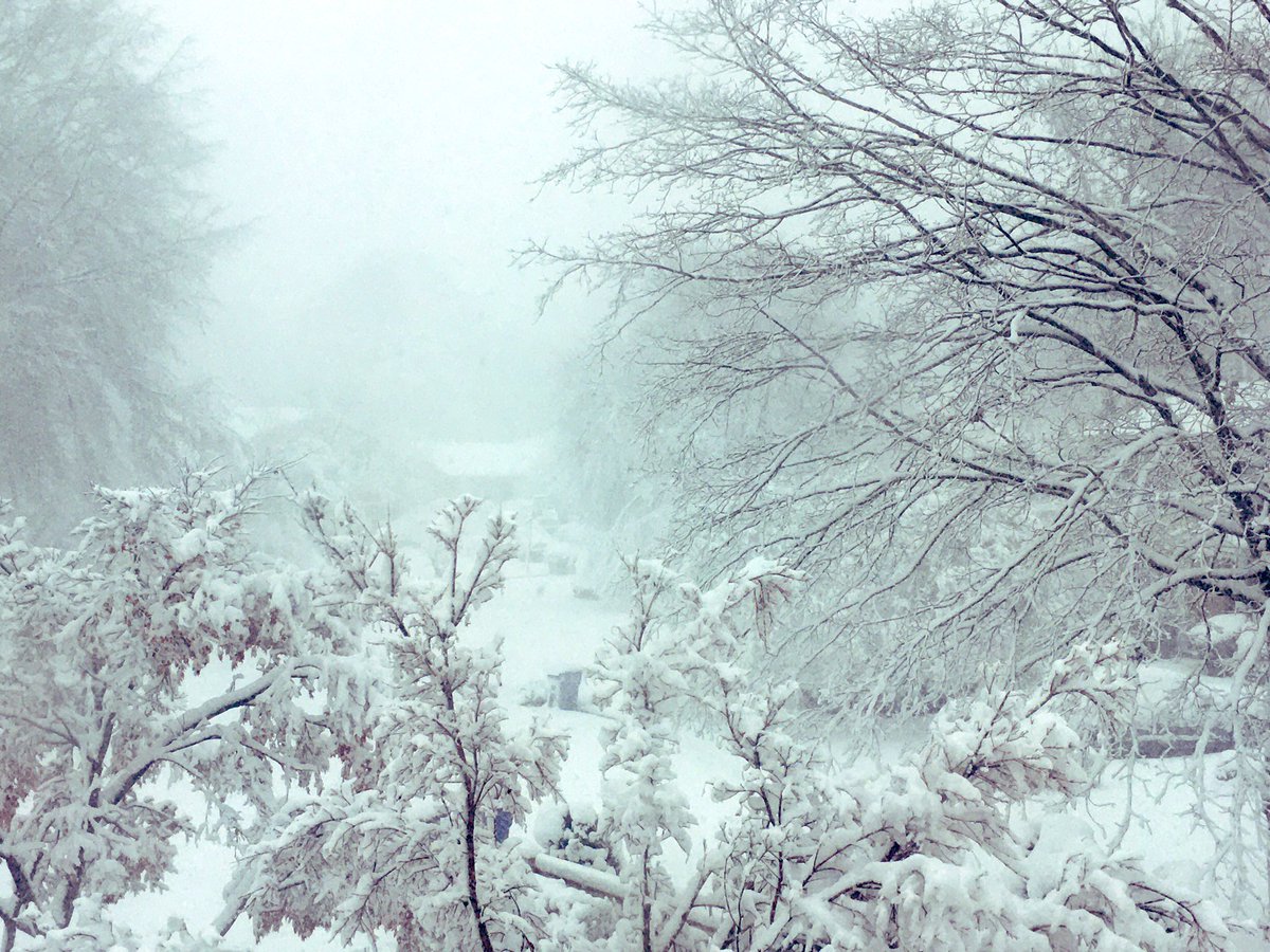 CurtisSChin's tweet photo. โ๏ธโ๏ธ๐จ Good morning, #DMV*! Itโs looking like a #snowday. ๐#firstMondayof2022.
*District of Colombia, Maryland & Virginia. https://t.co/FENz0JPWpl