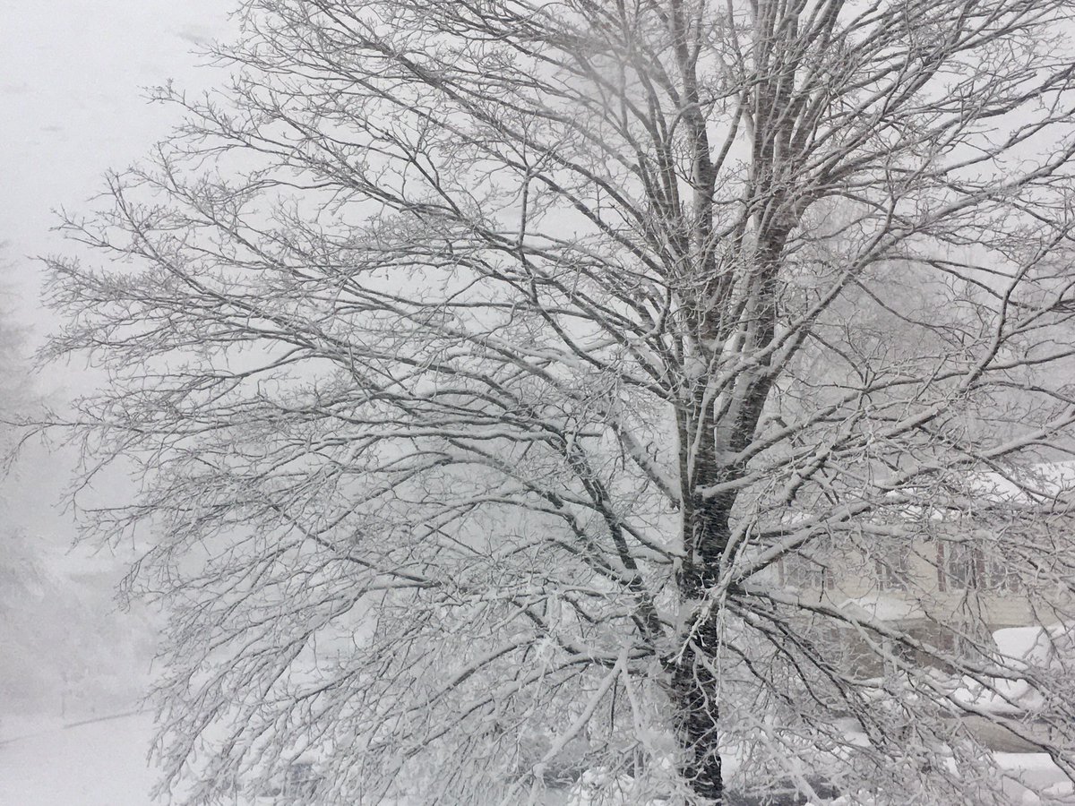 CurtisSChin's tweet photo. โ๏ธโ๏ธ๐จ Good morning, #DMV*! Itโs looking like a #snowday. ๐#firstMondayof2022.
*District of Colombia, Maryland & Virginia. https://t.co/FENz0JPWpl