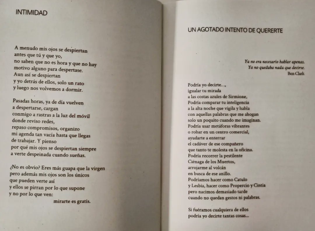 Os dejo aquí un par de poemas de mi libro. Mientras llega a librerías podéis haceros con él en la web de <a href="/sonambulos_ed/">SONÁMBULOS ediciones</a>