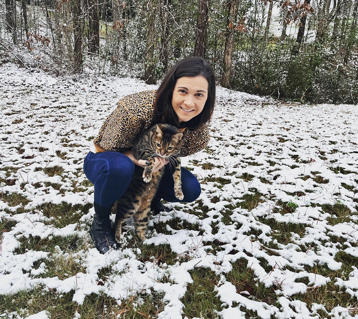 ChristinaChamb's tweet photo. ❄️ Hawk was unsure of the snow this morning ❄️ (yes, I decided to dress like my cat today 🤣 #asianleopard @TheBengalCats #alwx https://t.co/T5BSO2NciX